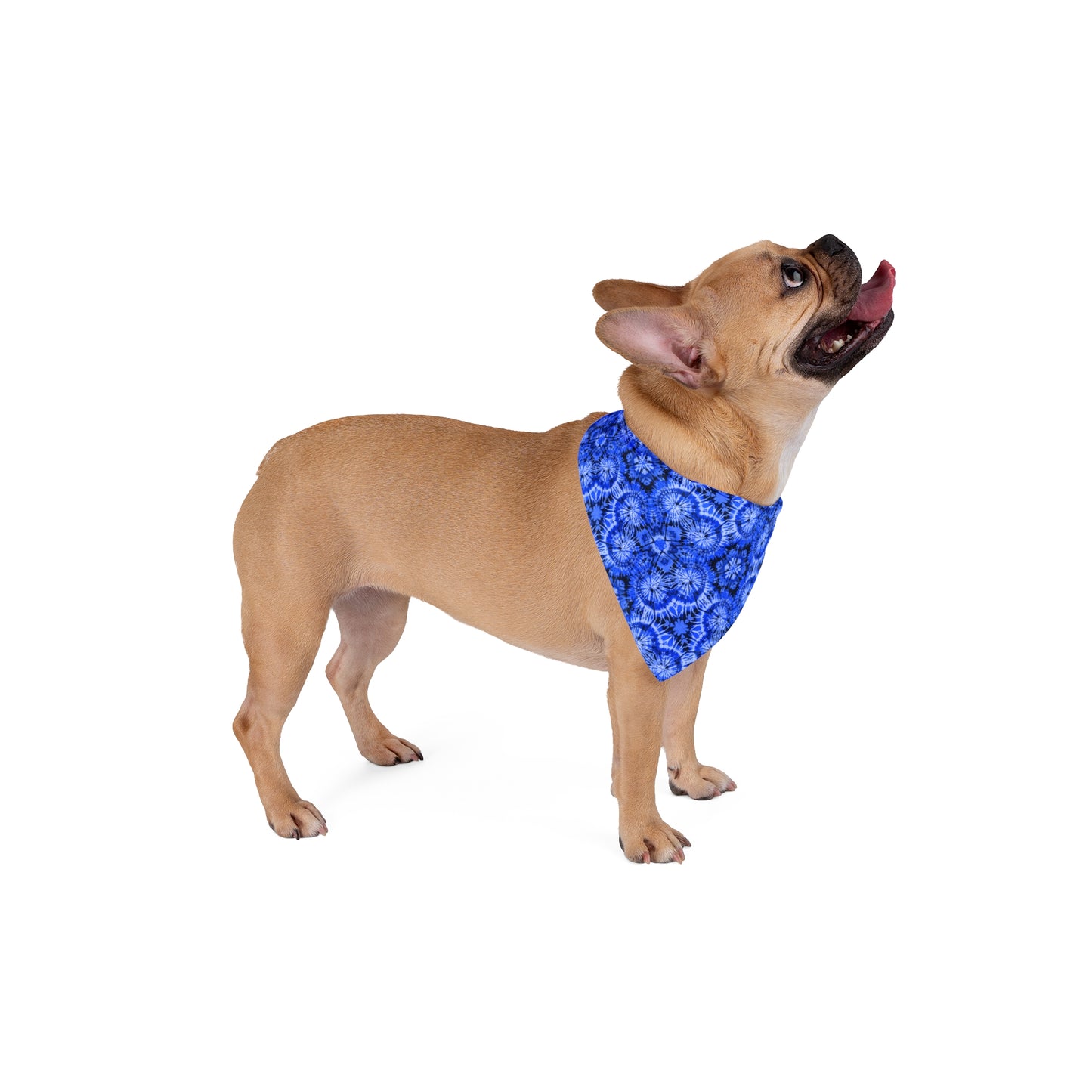 Blue Tiedye Pet Bandana