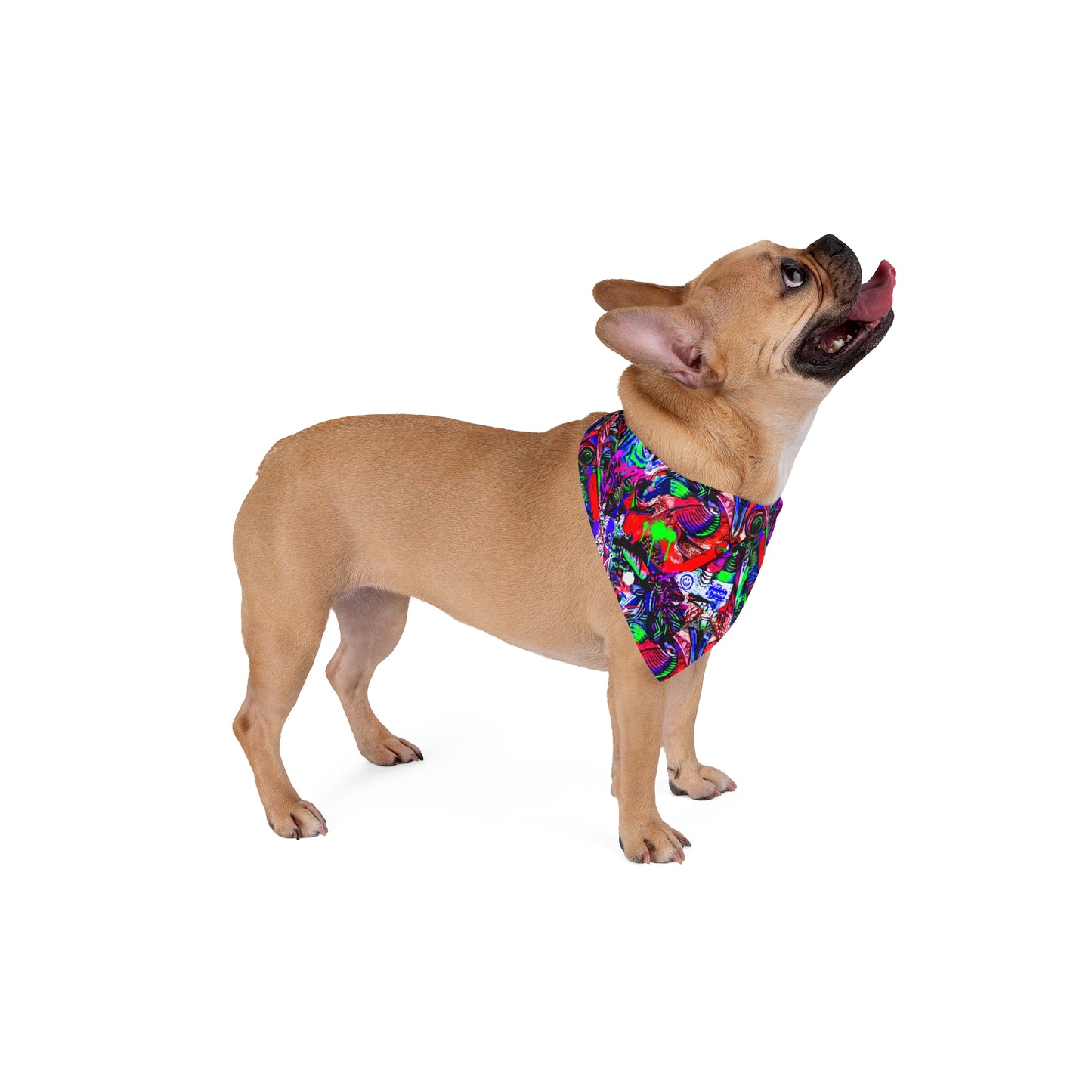 Neon Graffiti Dog Bandana