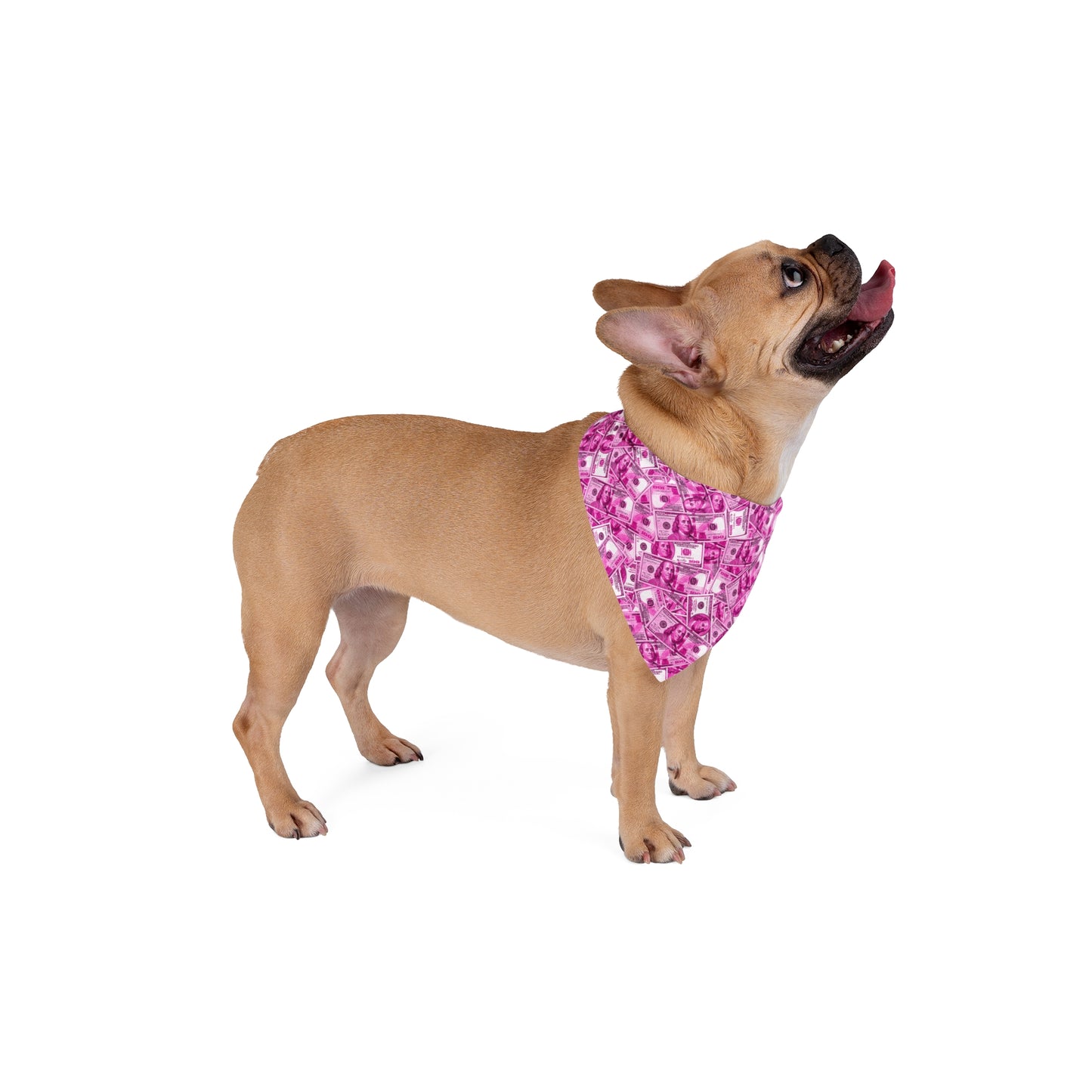 Pink 100 Dollar Bills Money Dog Bandana
