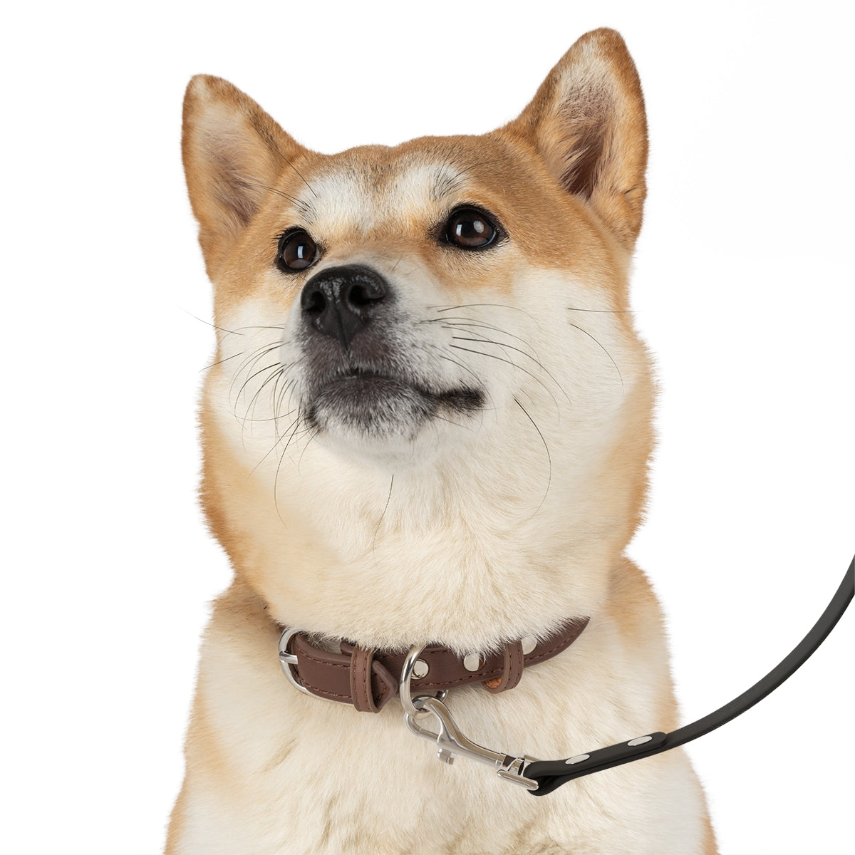Pink Camo Dog Leash